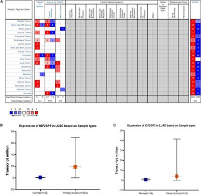 IGF2BP3 May Contributes to Lung Tumorigenesis by Regulating the Alternative Splicing of PKM